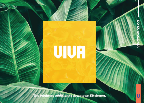 Viva amenity brochure cover, green tropical leaves