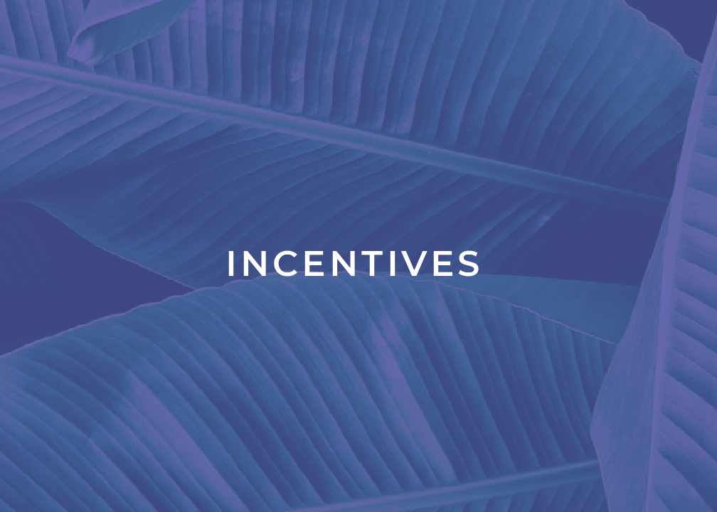 incentives thumbnail